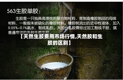 【天然生胶费用市场行情,天然胶和生胶的区别】-第2张图片