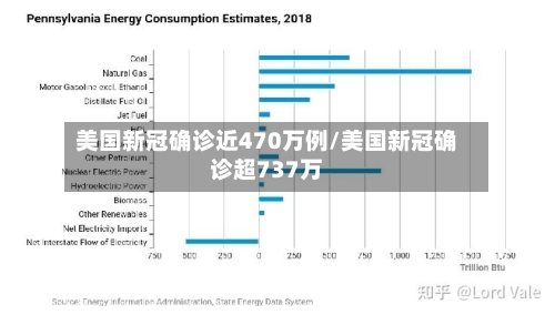 美国新冠确诊近470万例/美国新冠确诊超737万