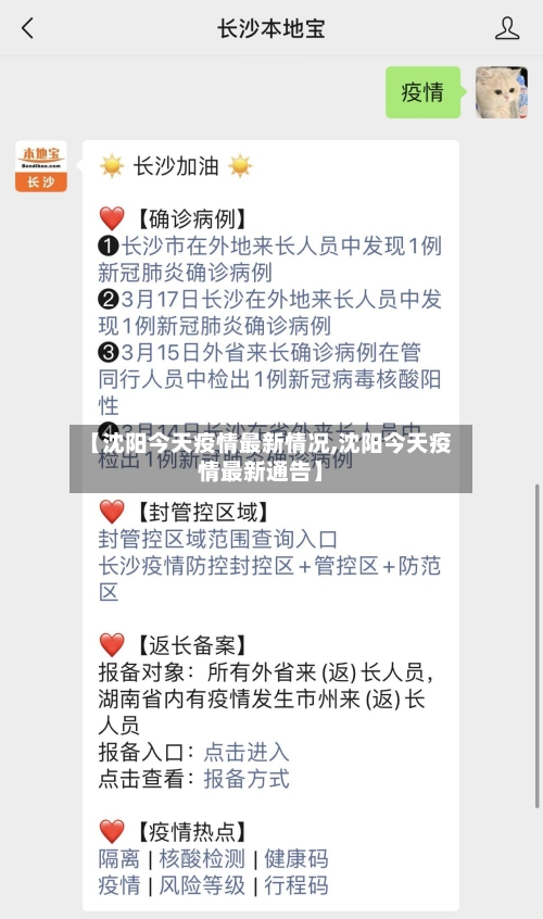 【沈阳今天疫情最新情况,沈阳今天疫情最新通告】