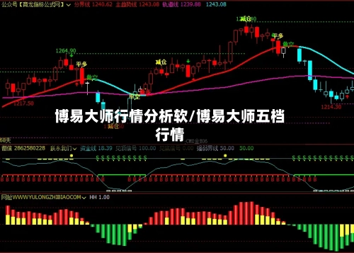 博易大师行情分析软/博易大师五档行情
