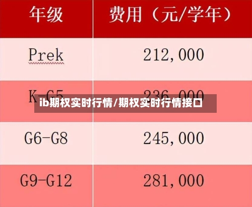ib期权实时行情/期权实时行情接口-第2张图片