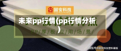 未来pp行情(pp行情分析)