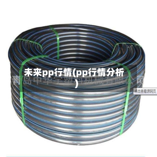未来pp行情(pp行情分析)-第2张图片