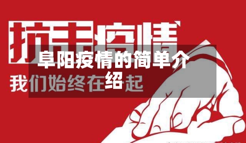 阜阳疫情的简单介绍