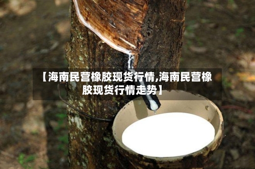 【海南民营橡胶现货行情,海南民营橡胶现货行情走势】-第2张图片