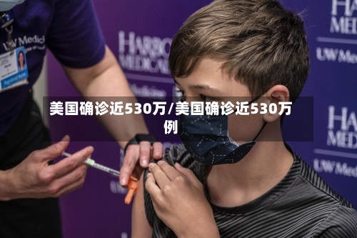 美国确诊近530万/美国确诊近530万例-第2张图片