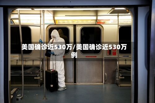 美国确诊近530万/美国确诊近530万例