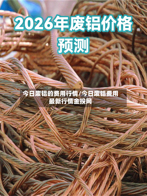 今日废铝的费用行情/今日废铝费用最新行情金投网