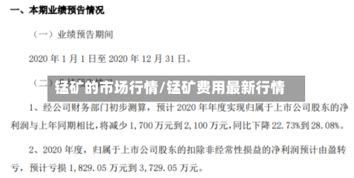 锰矿的市场行情/锰矿费用最新行情