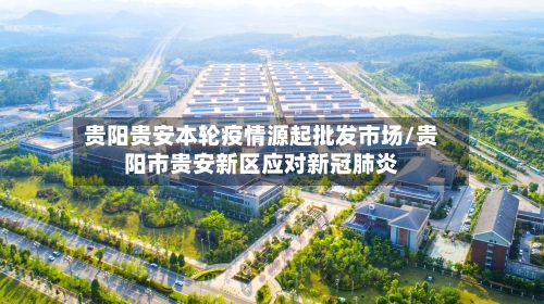 贵阳贵安本轮疫情源起批发市场/贵阳市贵安新区应对新冠肺炎