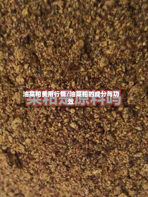 油菜粕费用行情/油菜粕的成分与功效-第2张图片