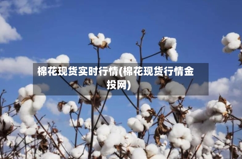 棉花现货实时行情(棉花现货行情金投网)-第2张图片