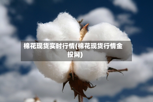 棉花现货实时行情(棉花现货行情金投网)-第3张图片