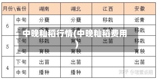 中晚籼稻行情(中晚籼稻费用)