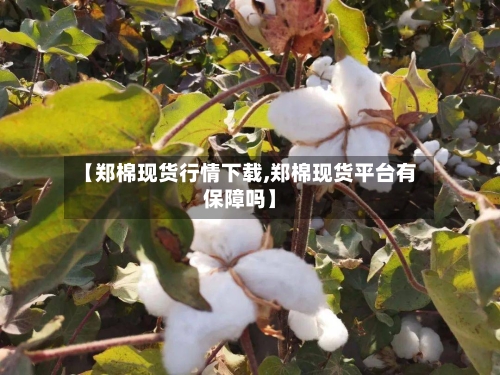 【郑棉现货行情下载,郑棉现货平台有保障吗】-第2张图片