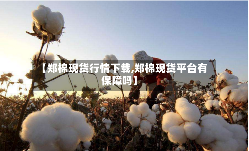 【郑棉现货行情下载,郑棉现货平台有保障吗】