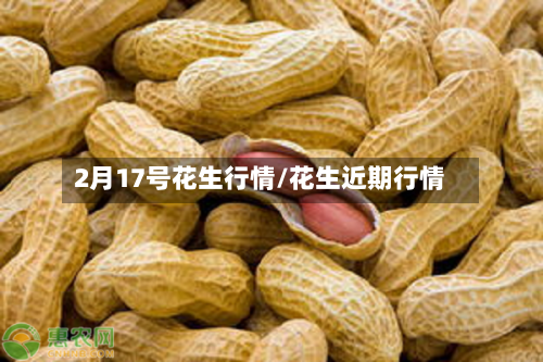 2月17号花生行情/花生近期行情