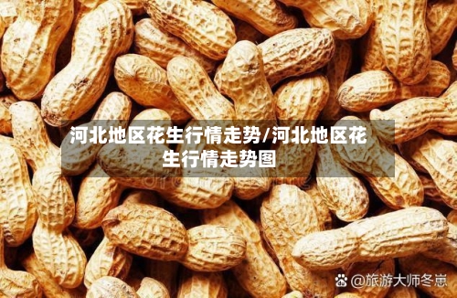 河北地区花生行情走势/河北地区花生行情走势图-第2张图片