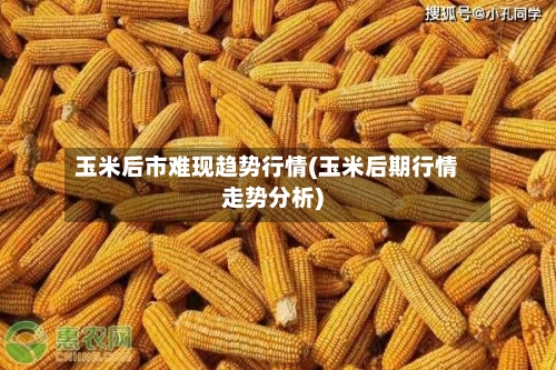 玉米后市难现趋势行情(玉米后期行情走势分析)