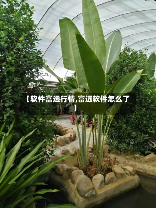 【软件富远行情,富远软件怎么了】