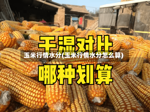 玉米行情水分(玉米行情水分怎么算)