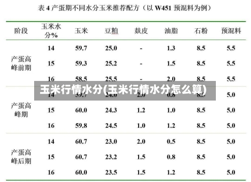 玉米行情水分(玉米行情水分怎么算)-第2张图片