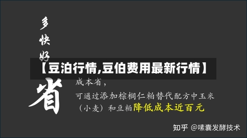 【豆泊行情,豆伯费用最新行情】-第2张图片