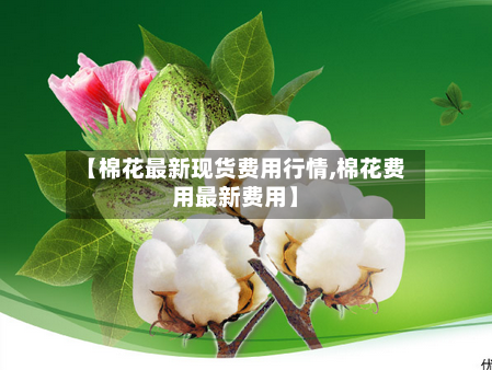 【棉花最新现货费用行情,棉花费用最新费用】