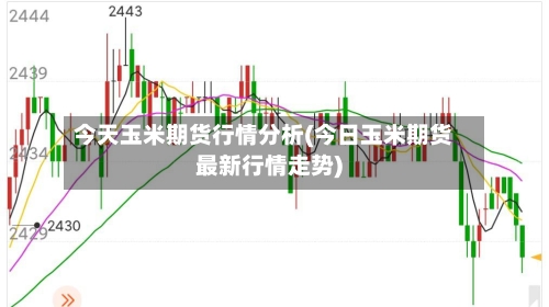 今天玉米期货行情分析(今日玉米期货最新行情走势)