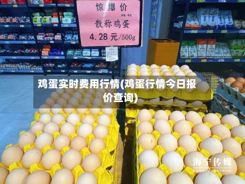 鸡蛋实时费用行情(鸡蛋行情今日报价查询)