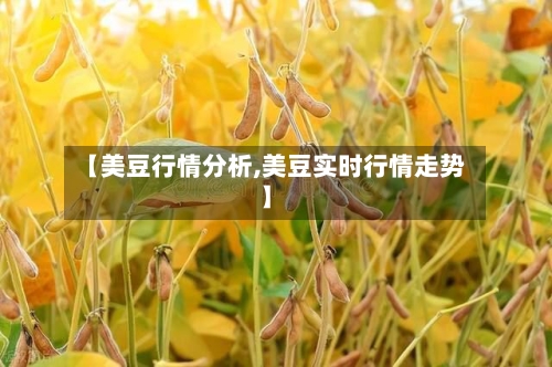 【美豆行情分析,美豆实时行情走势】-第2张图片