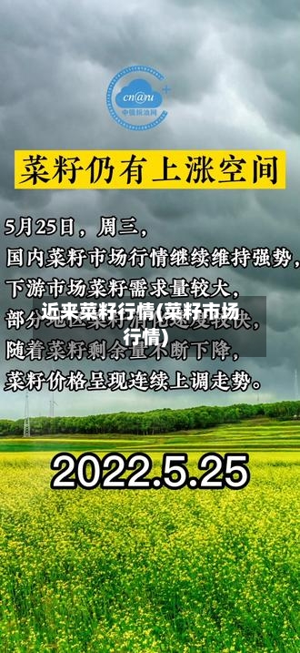 近来菜籽行情(菜籽市场行情)-第2张图片