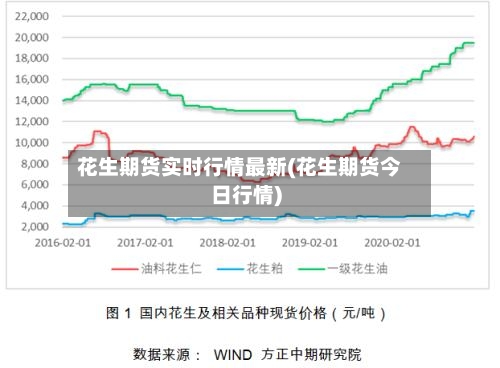 花生期货实时行情最新(花生期货今日行情)