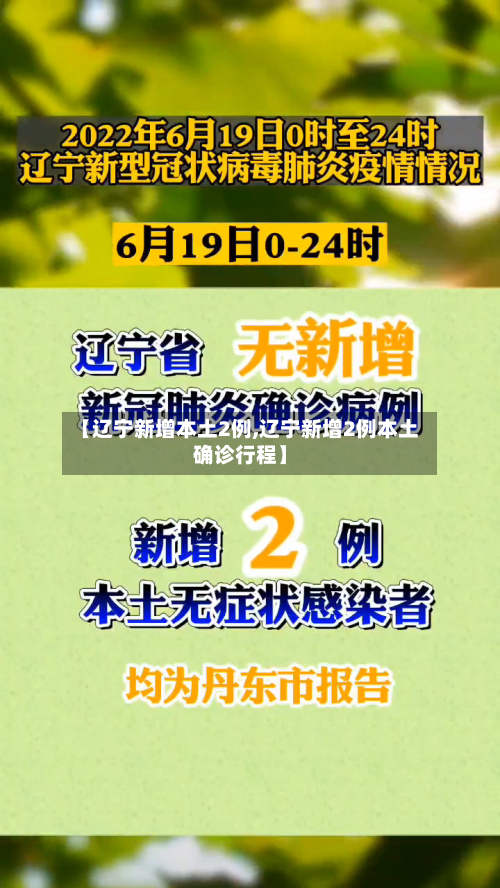 【辽宁新增本土2例,辽宁新增2例本土确诊行程】