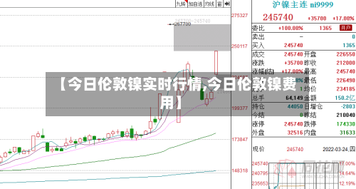 【今日伦敦镍实时行情,今日伦敦镍费用】-第3张图片