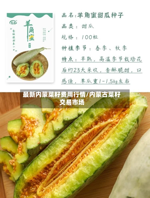 最新内蒙菜籽费用行情/内蒙古菜籽交易市场-第2张图片