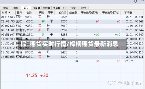 棕橺期货实时行情/棕榈期货最新消息-第2张图片