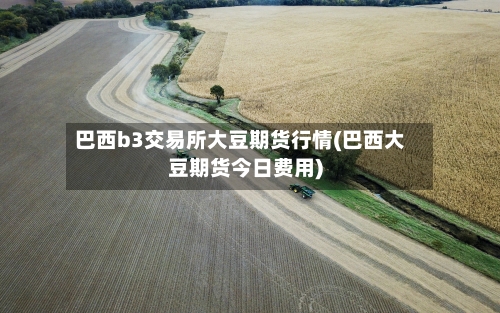 巴西b3交易所大豆期货行情(巴西大豆期货今日费用)