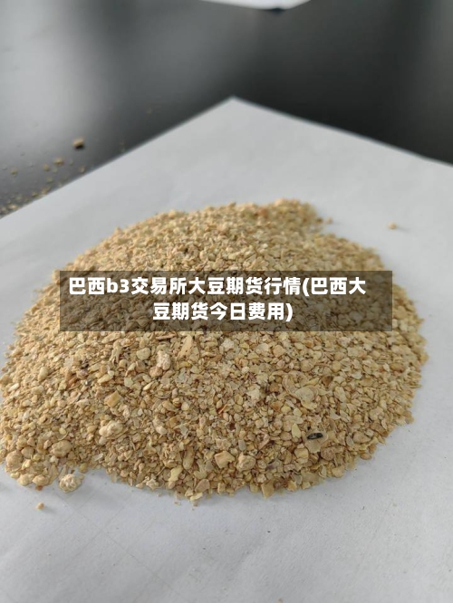 巴西b3交易所大豆期货行情(巴西大豆期货今日费用)-第2张图片
