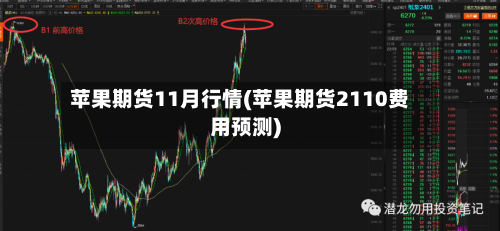 苹果期货11月行情(苹果期货2110费用预测)