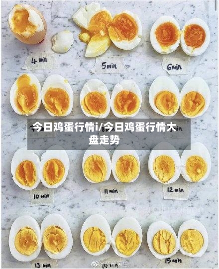 今日鸡蛋行情i/今日鸡蛋行情大盘走势-第2张图片