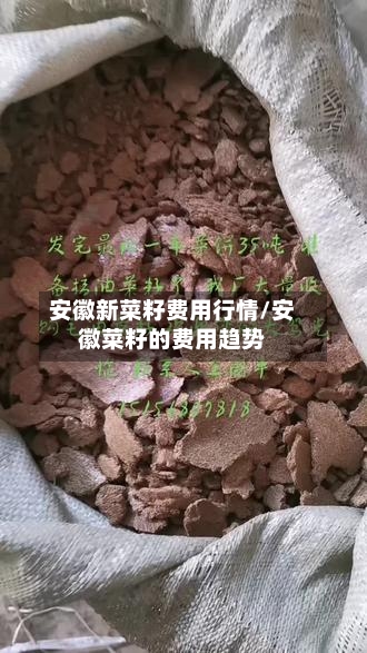 安徽新菜籽费用行情/安徽菜籽的费用趋势-第2张图片