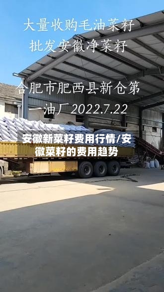 安徽新菜籽费用行情/安徽菜籽的费用趋势-第3张图片