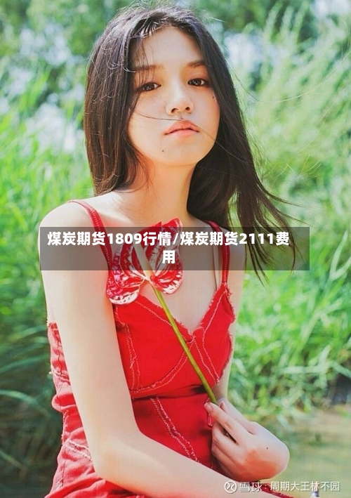 煤炭期货1809行情/煤炭期货2111费用-第2张图片
