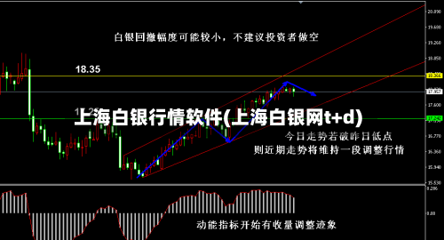 上海白银行情软件(上海白银网t+d)-第2张图片