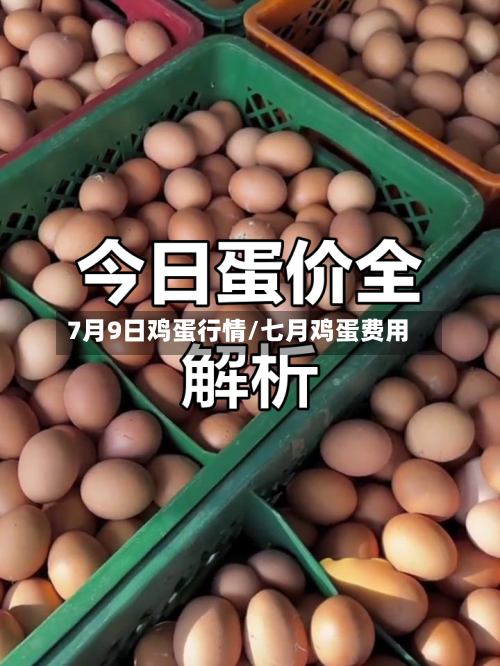 7月9日鸡蛋行情/七月鸡蛋费用-第2张图片