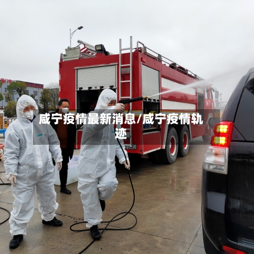 咸宁疫情最新消息/咸宁疫情轨迹-第2张图片