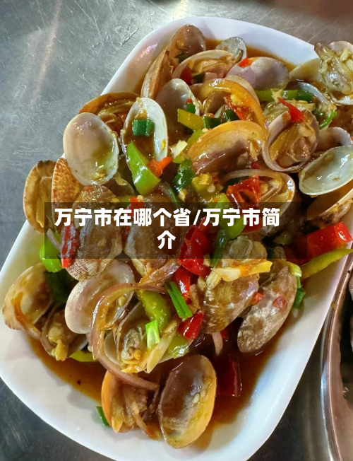 万宁市在哪个省/万宁市简介