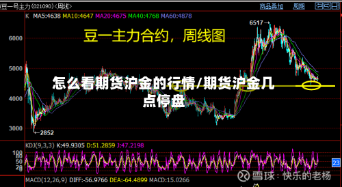 怎么看期货沪金的行情/期货沪金几点停盘