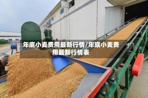 年底小麦费用最新行情/年底小麦费用最新行情表